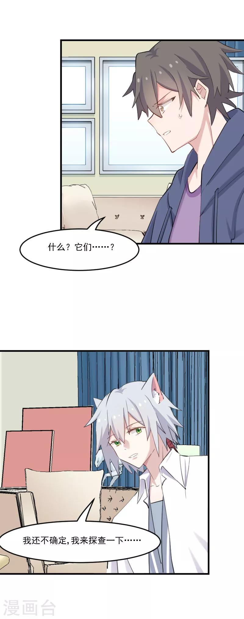 第104话 猫身上的秘密-第107话
