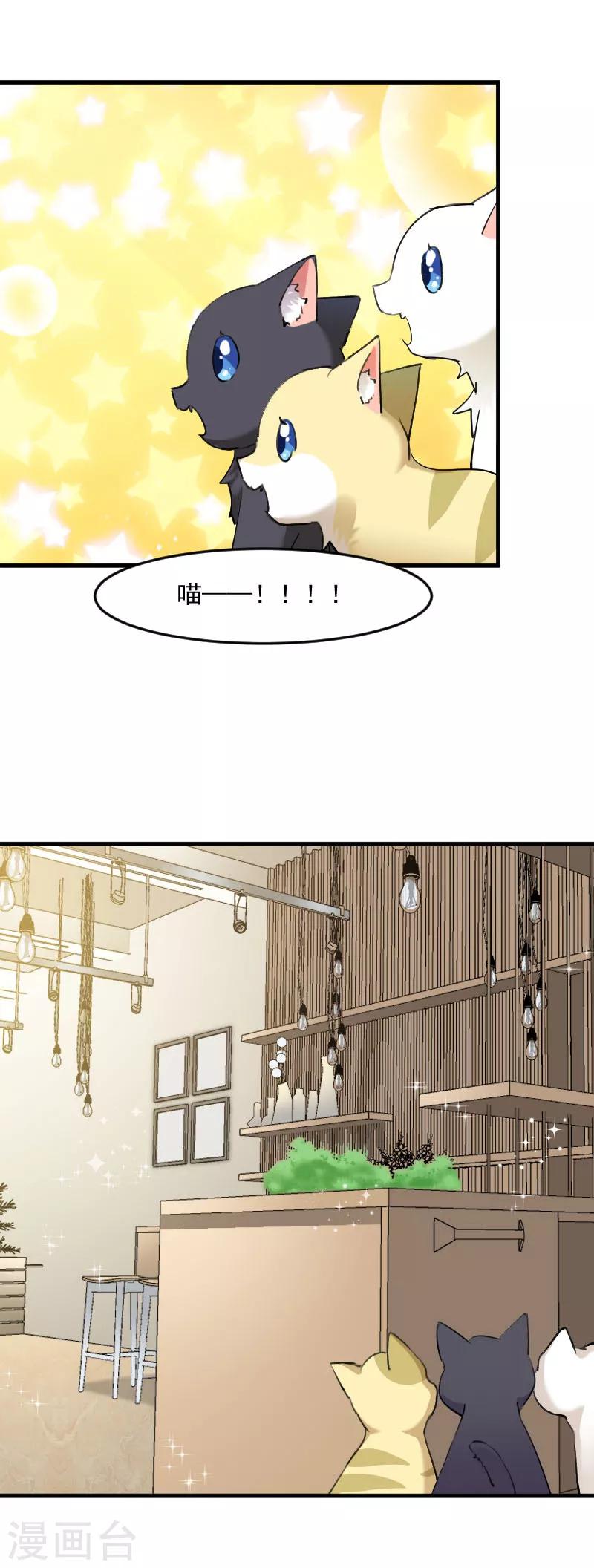 第120话 超豪华的猫屋！-第123话