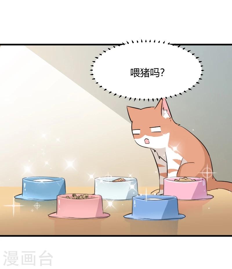 第18话 初见-第19话