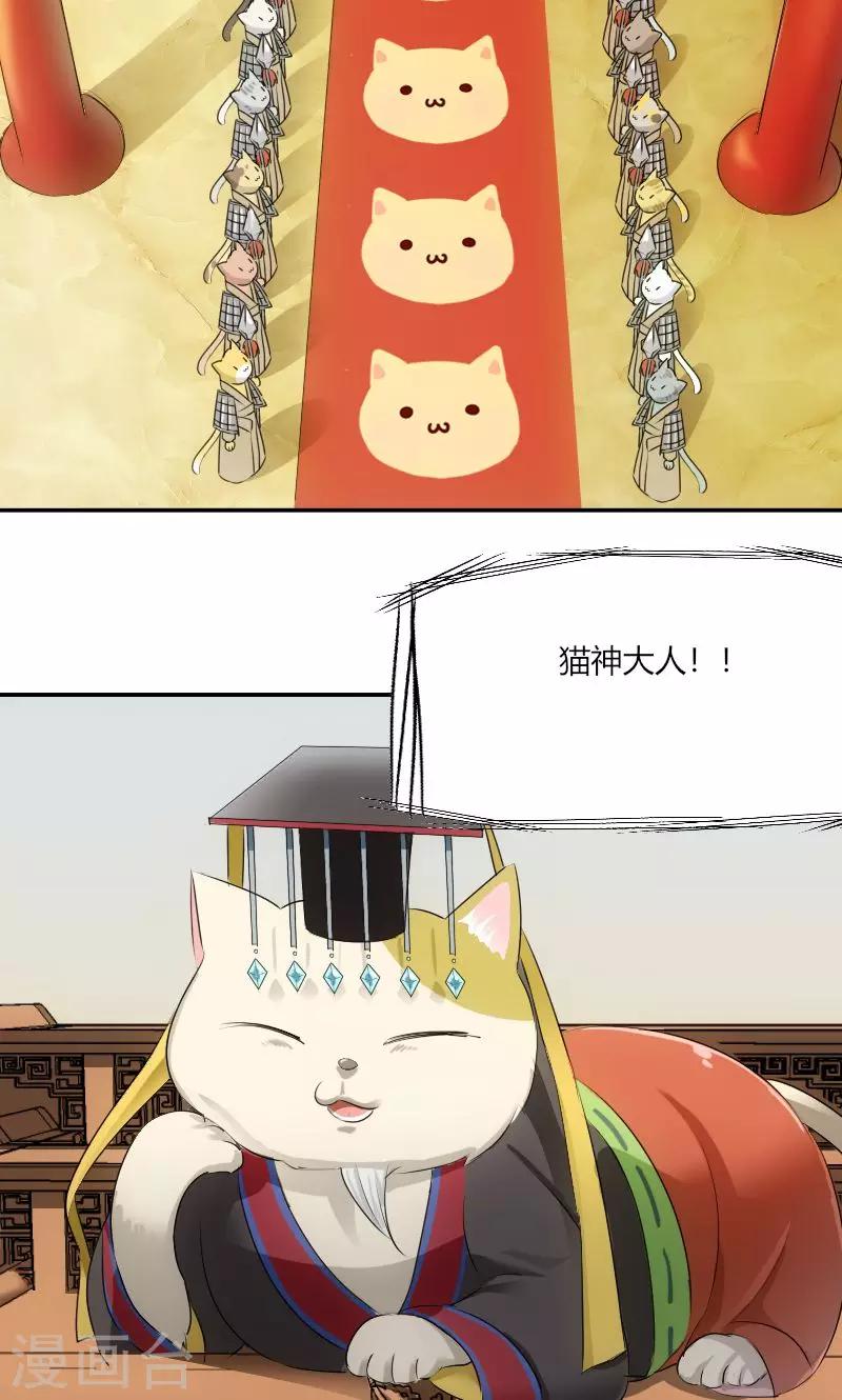 第2话 天降喵神？-第3话