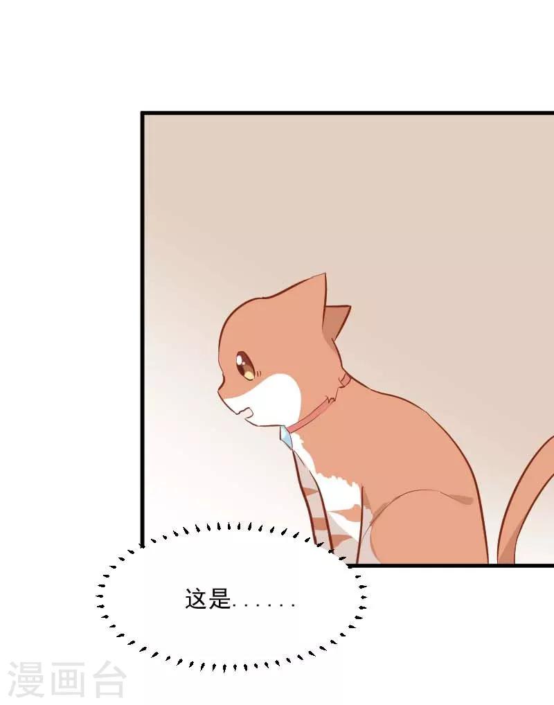 第24话 哇羞了！-第25话