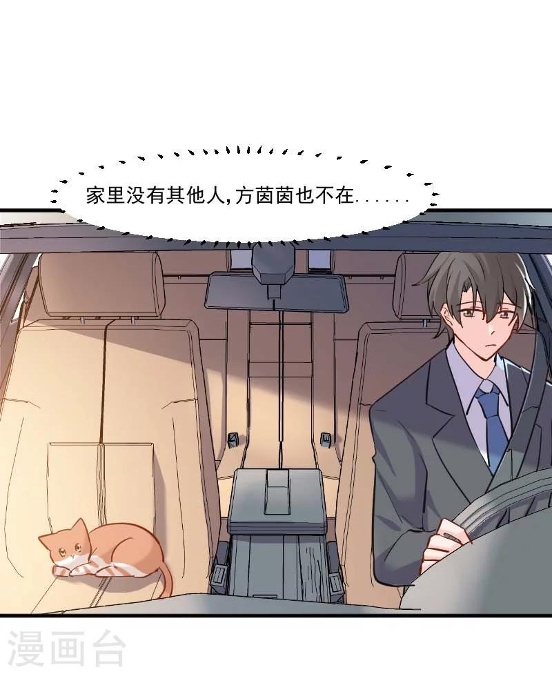 第39话 不许摸我的猫！-第41话