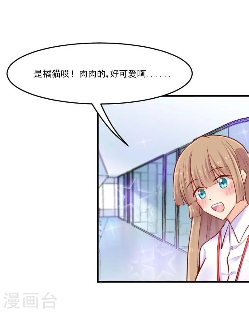 第39话 不许摸我的猫！-第41话
