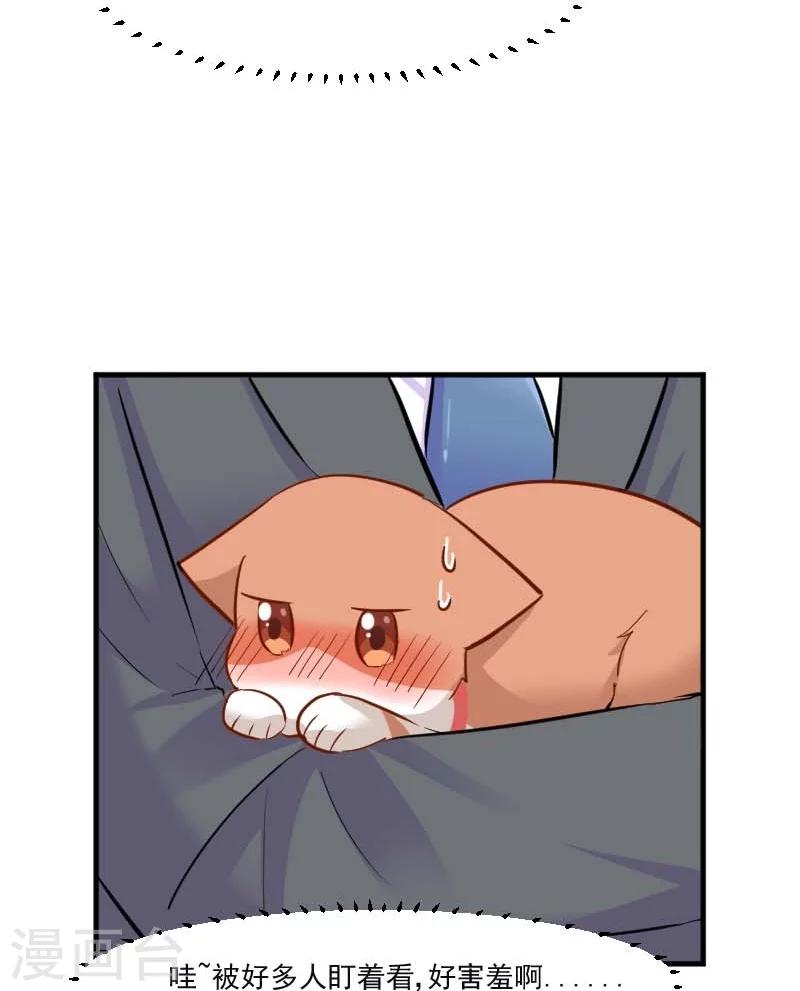 第39话 不许摸我的猫！-第41话