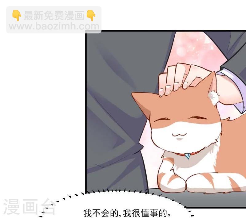 第39话 不许摸我的猫！-第41话