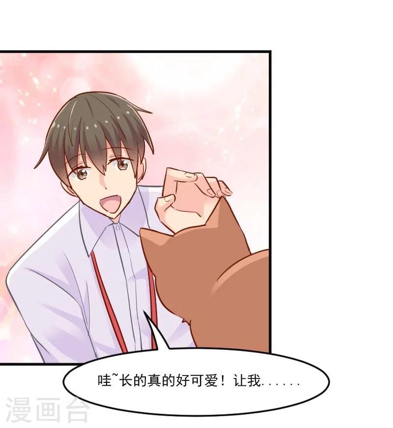 第39话 不许摸我的猫！-第41话