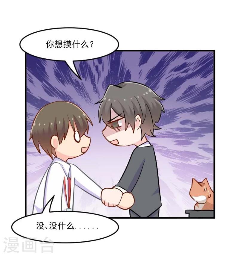 第39话 不许摸我的猫！-第41话