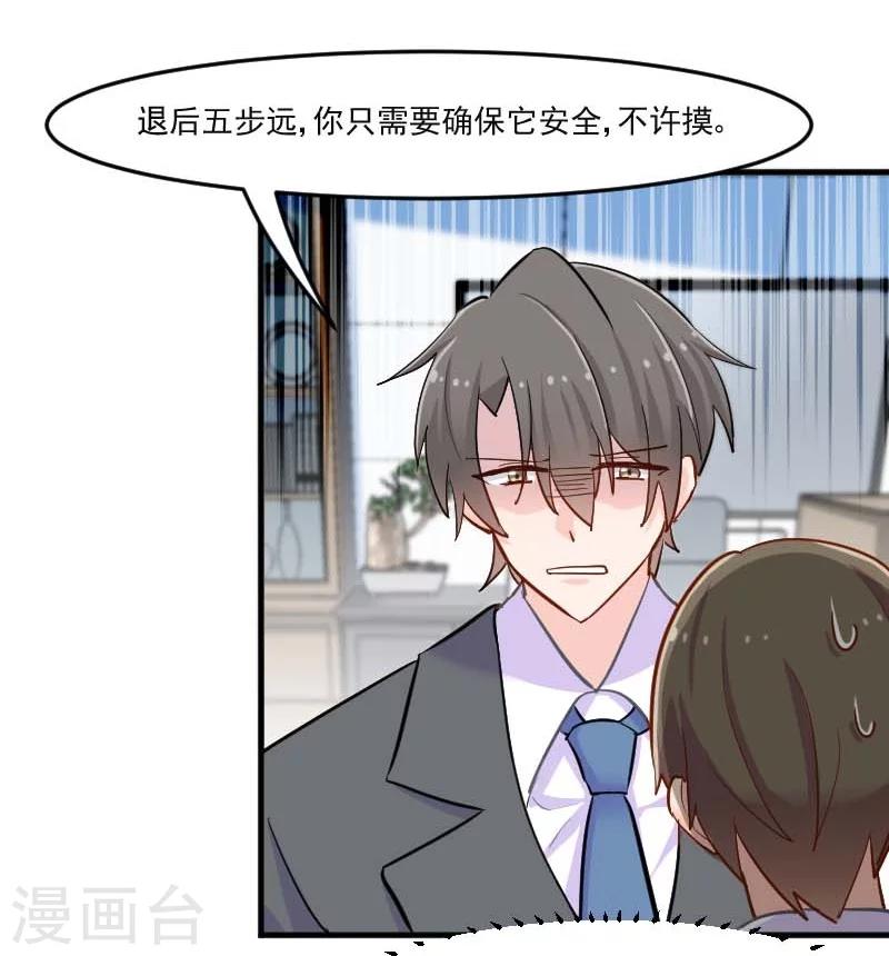 第39话 不许摸我的猫！-第41话