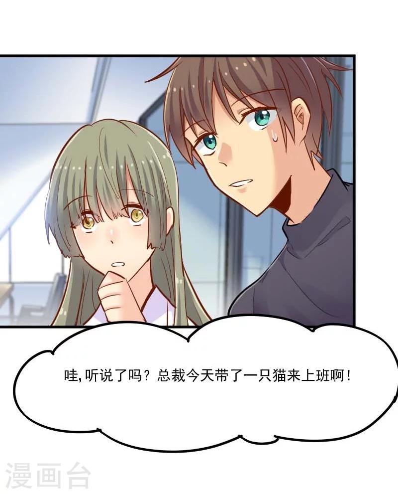 第39话 不许摸我的猫！-第41话