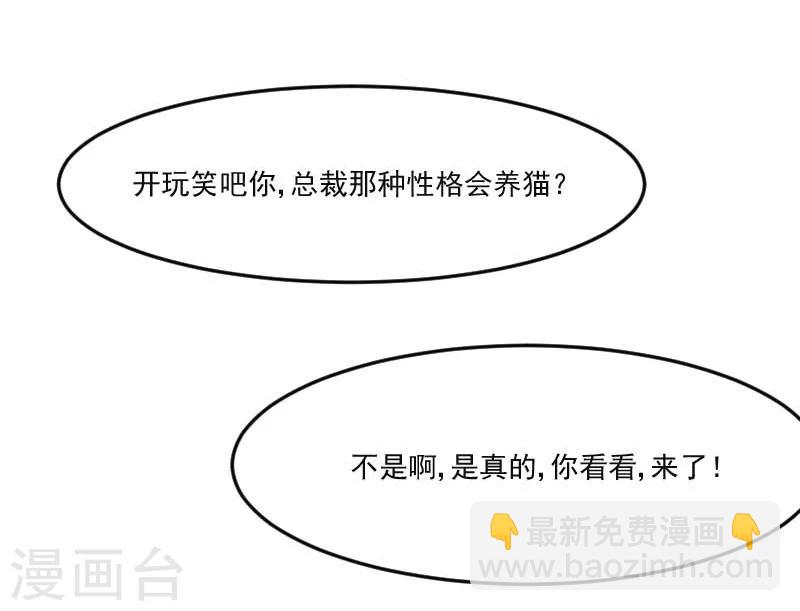 第39话 不许摸我的猫！-第41话