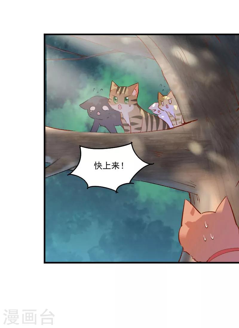 第50话 教训石倩-第53话