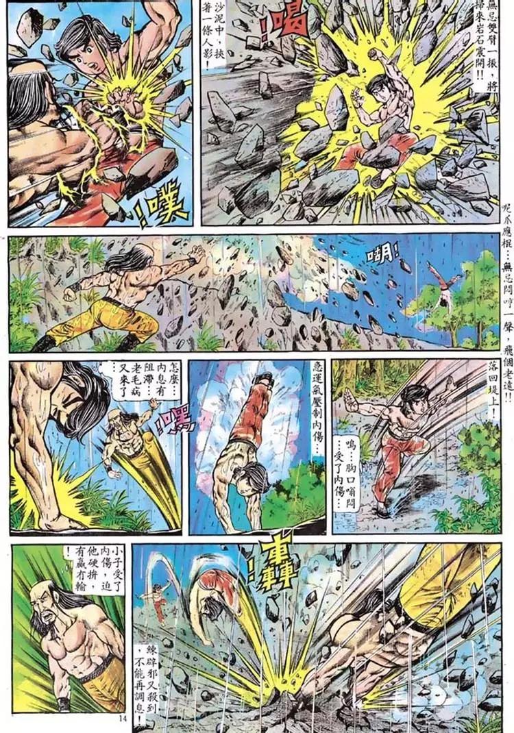 🍴旧著醉拳 第100卷 第14页