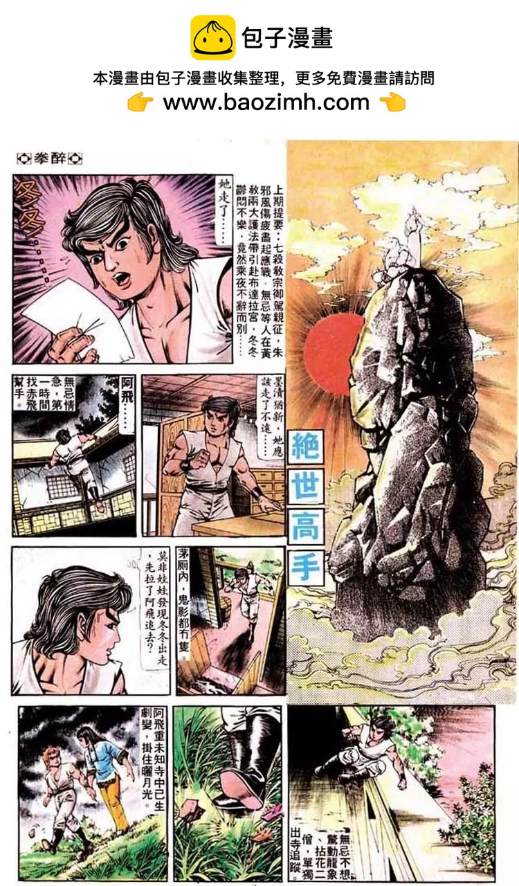 🍴旧著醉拳 第210卷 第2页