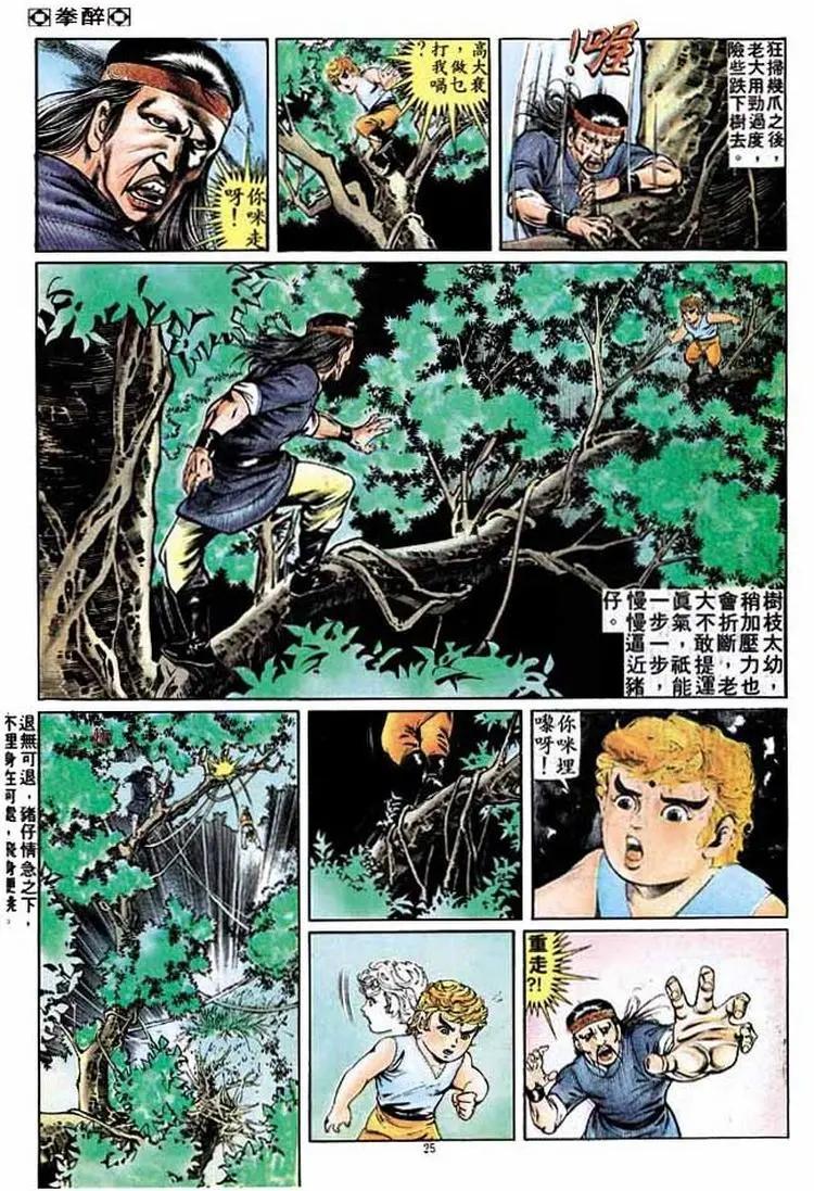 🍴旧著醉拳 第265卷 第25页