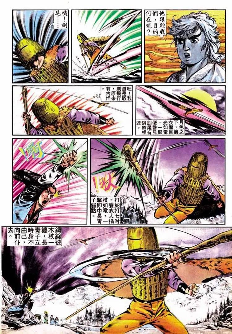 🍴旧著醉拳 第300卷 第28页