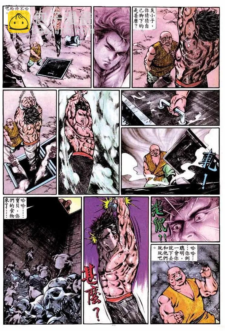 🍴旧著醉拳 第337卷 第29页