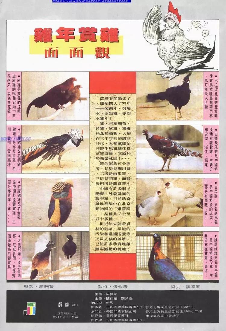 🍴旧著醉拳 第610卷 第33页