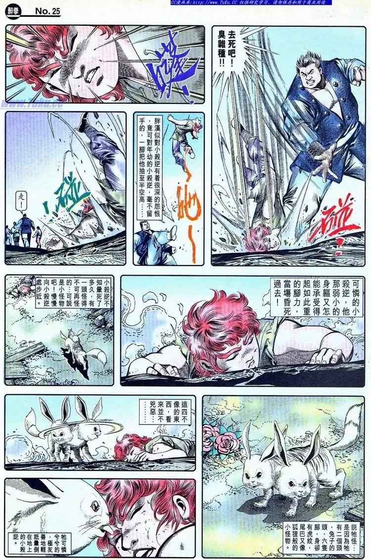 🍴旧著醉拳 第775卷 第25页