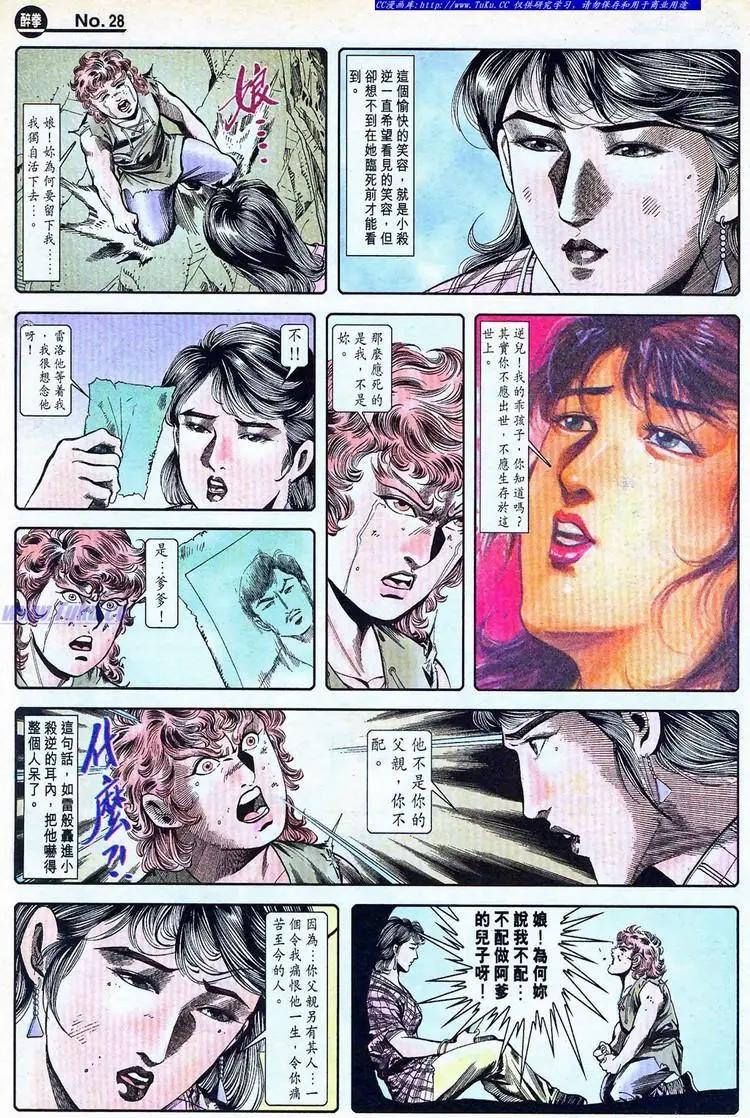 🍴旧著醉拳 第775卷 第28页