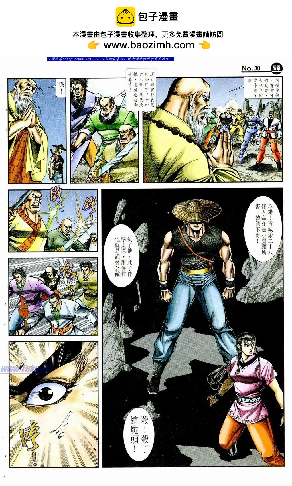 🍴旧著醉拳 第860卷 第30页