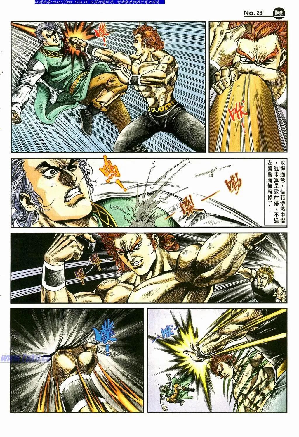 🍴旧著醉拳 第870卷 第28页