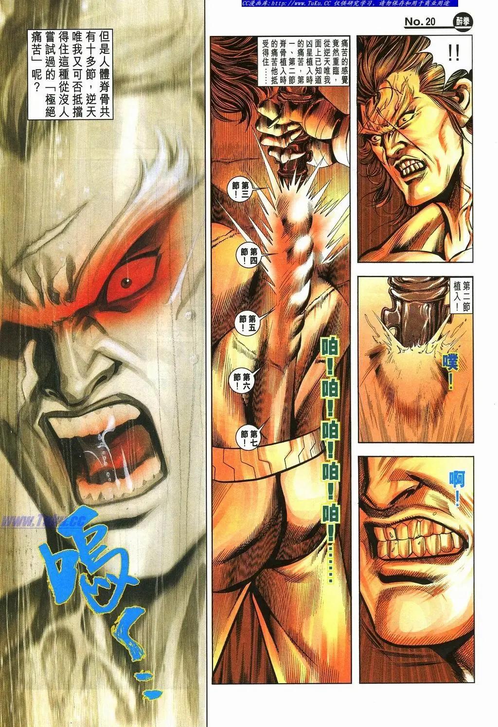 🍴旧著醉拳 第880卷 第20页