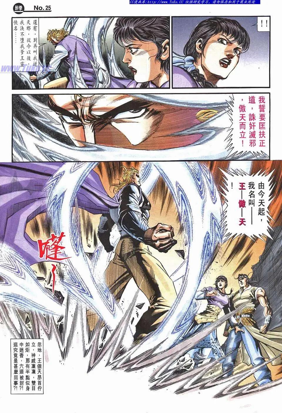 🍴旧著醉拳 第965卷 第25页