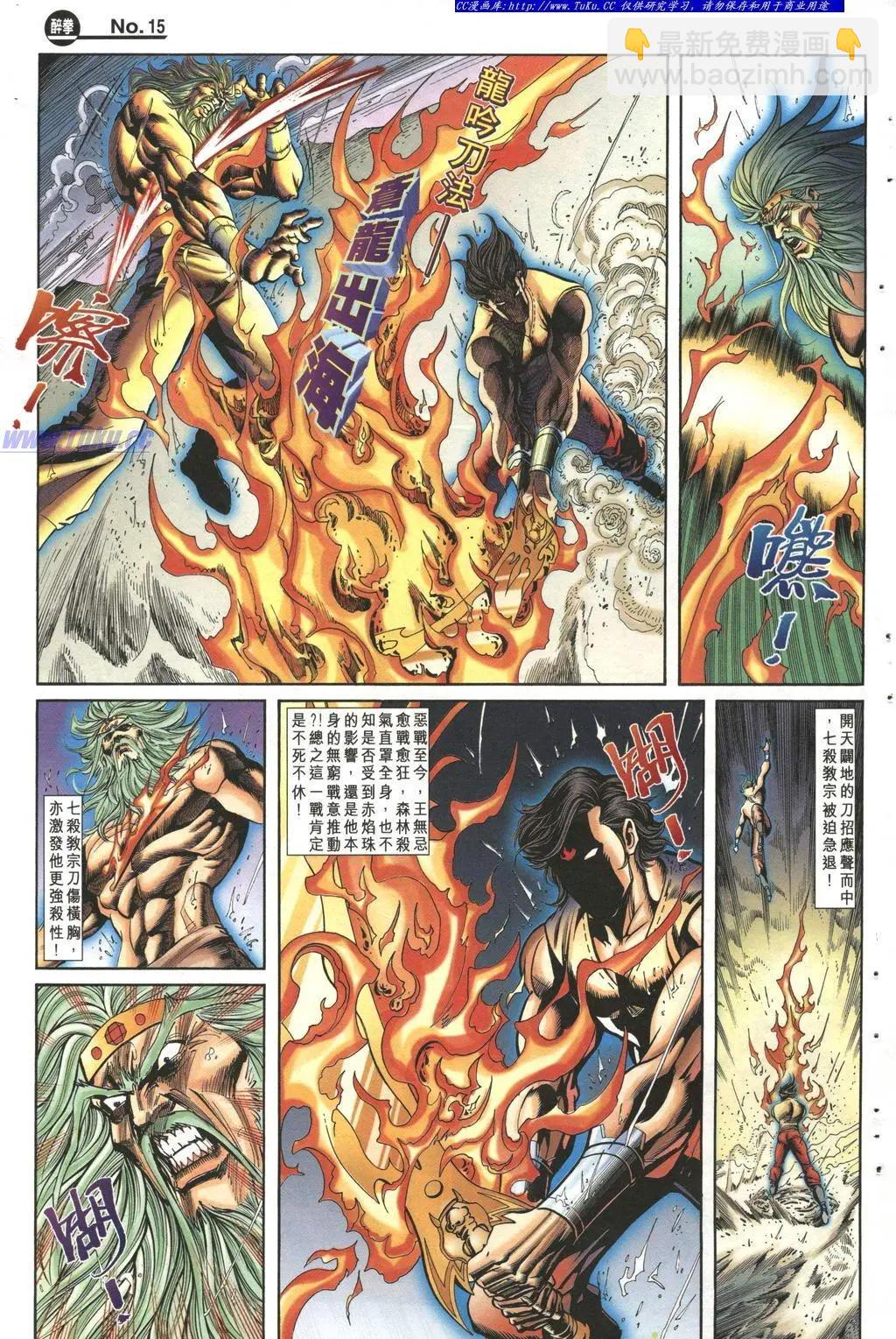 🍴旧著醉拳 第991卷 第14页