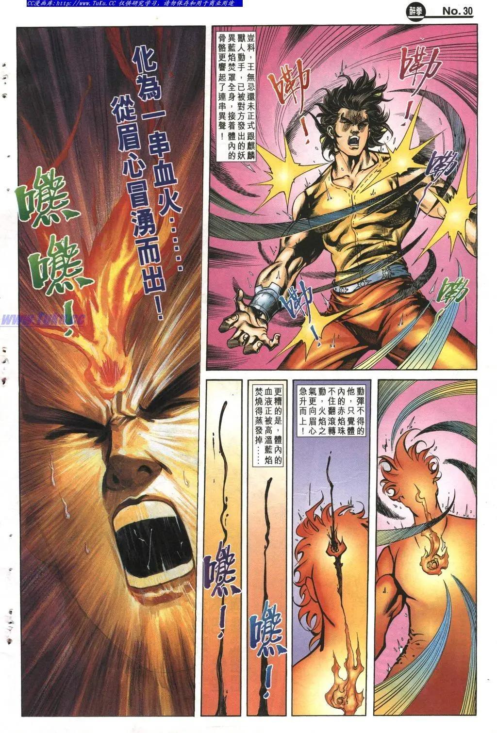 🍴旧著醉拳 第991卷 第29页