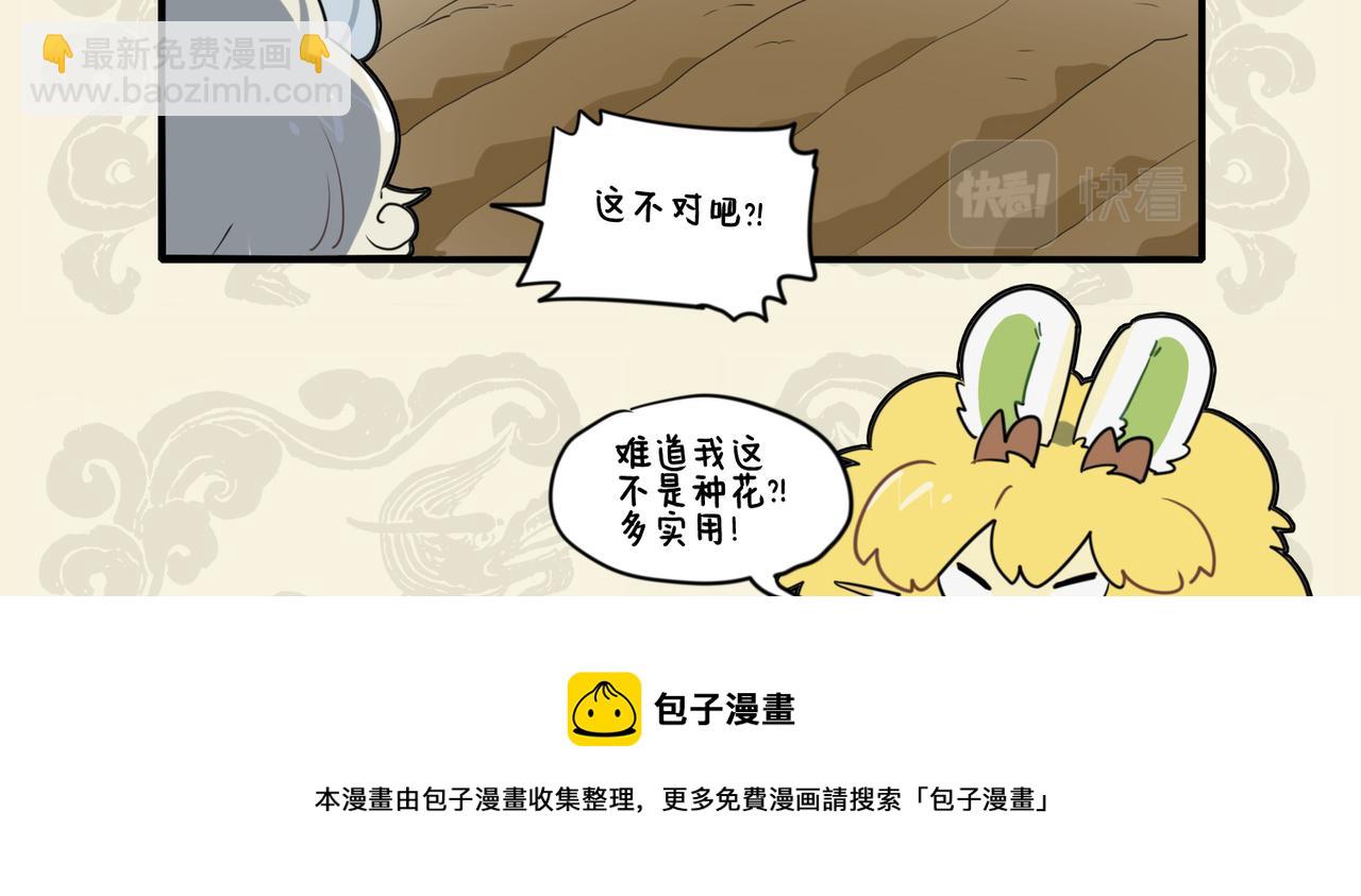 🍴九子不成龙 养花寄情 终于果腹 第9页