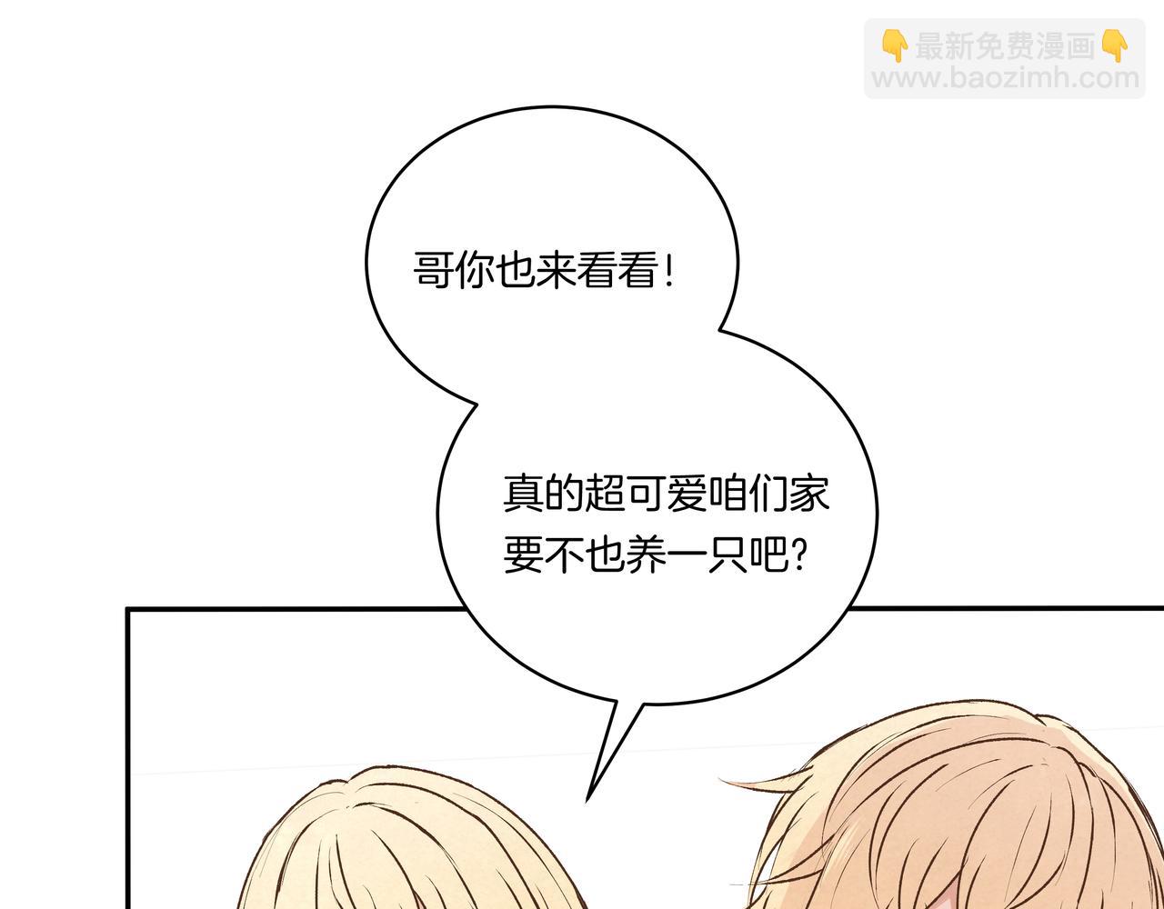 第41话 焦糖布丁(1/2)-第41话