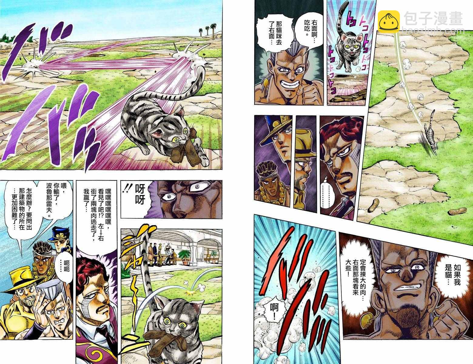 🍴JoJo奇妙冒险 第3部11卷全彩 第10页