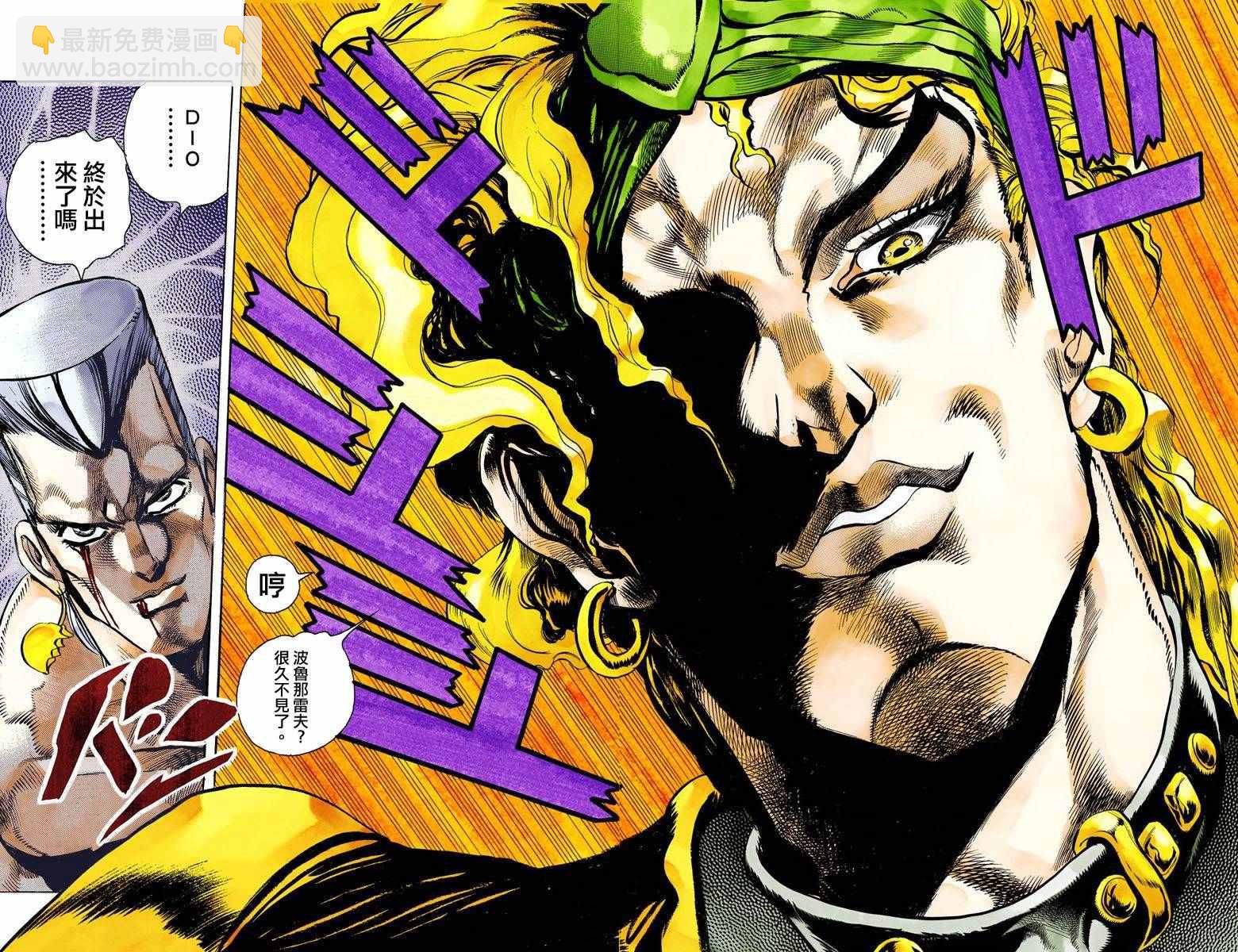 🍴JoJo奇妙冒险 第3部15卷全彩 第11页