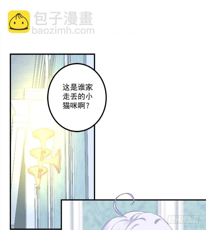 这是谁家的小猫咪？！(1/2)-第3话