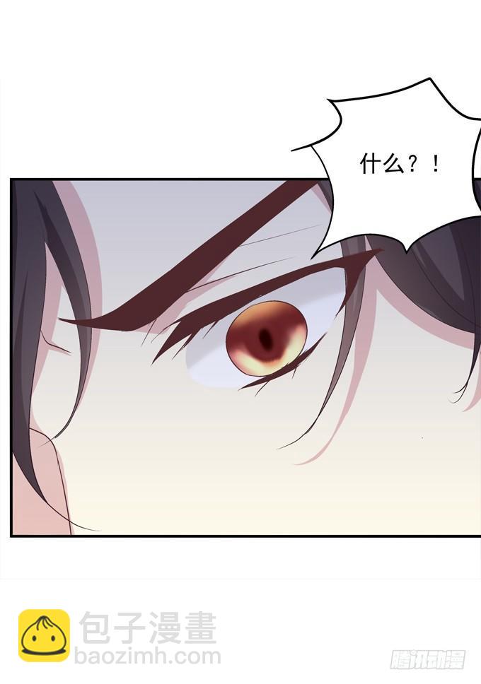 这是谁家的小猫咪？！(1/2)-第3话