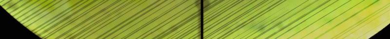 第151话(1/2)-第157话