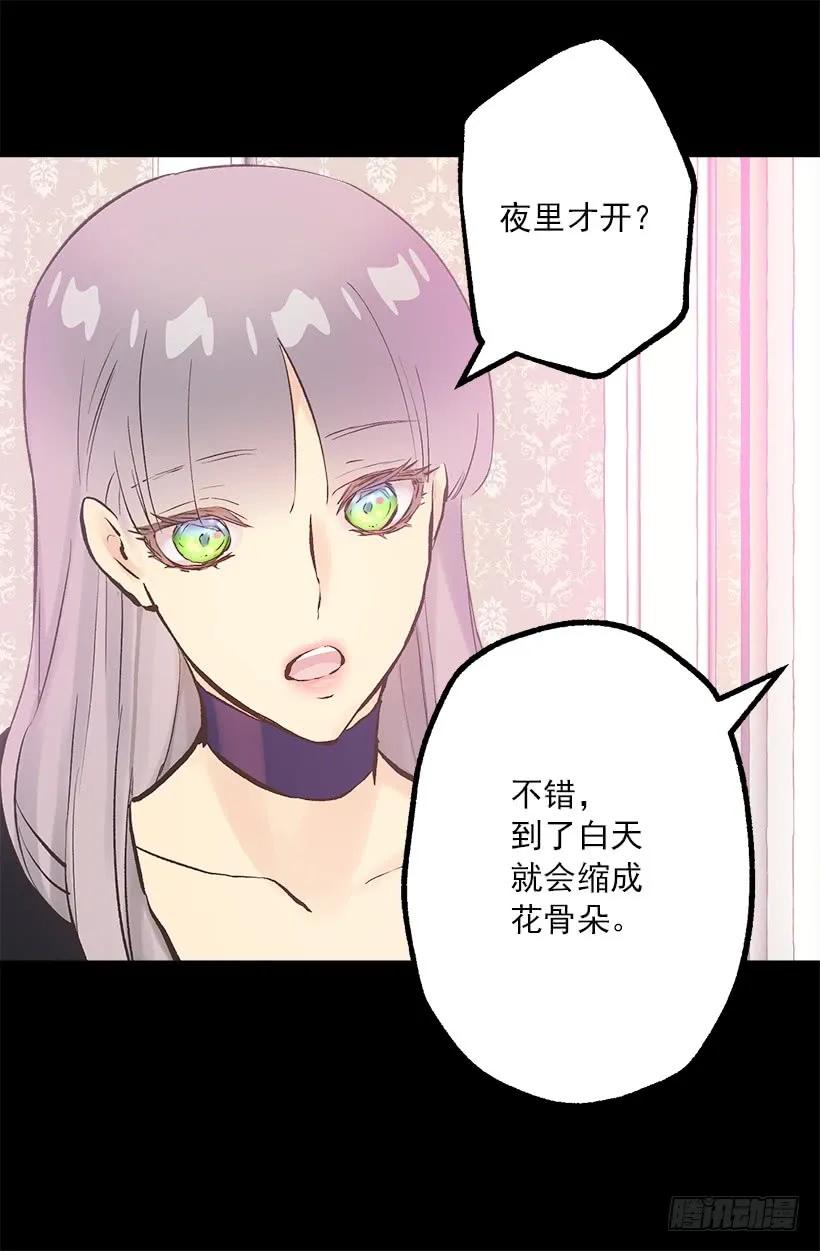 197.夜里才开的花-第197话