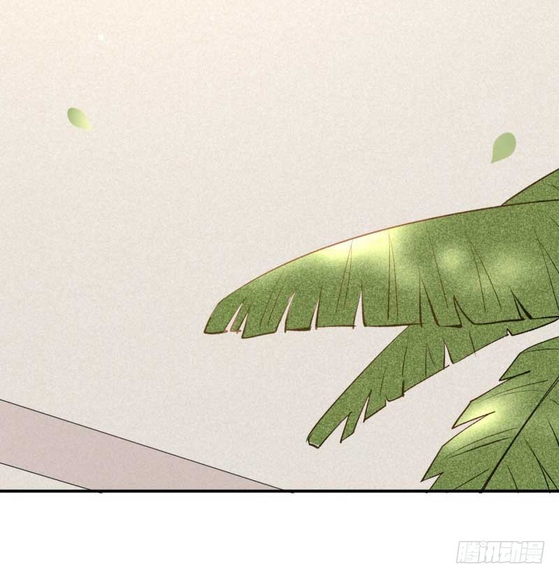第30话 要大开杀戒了喵(1/2)-第31话