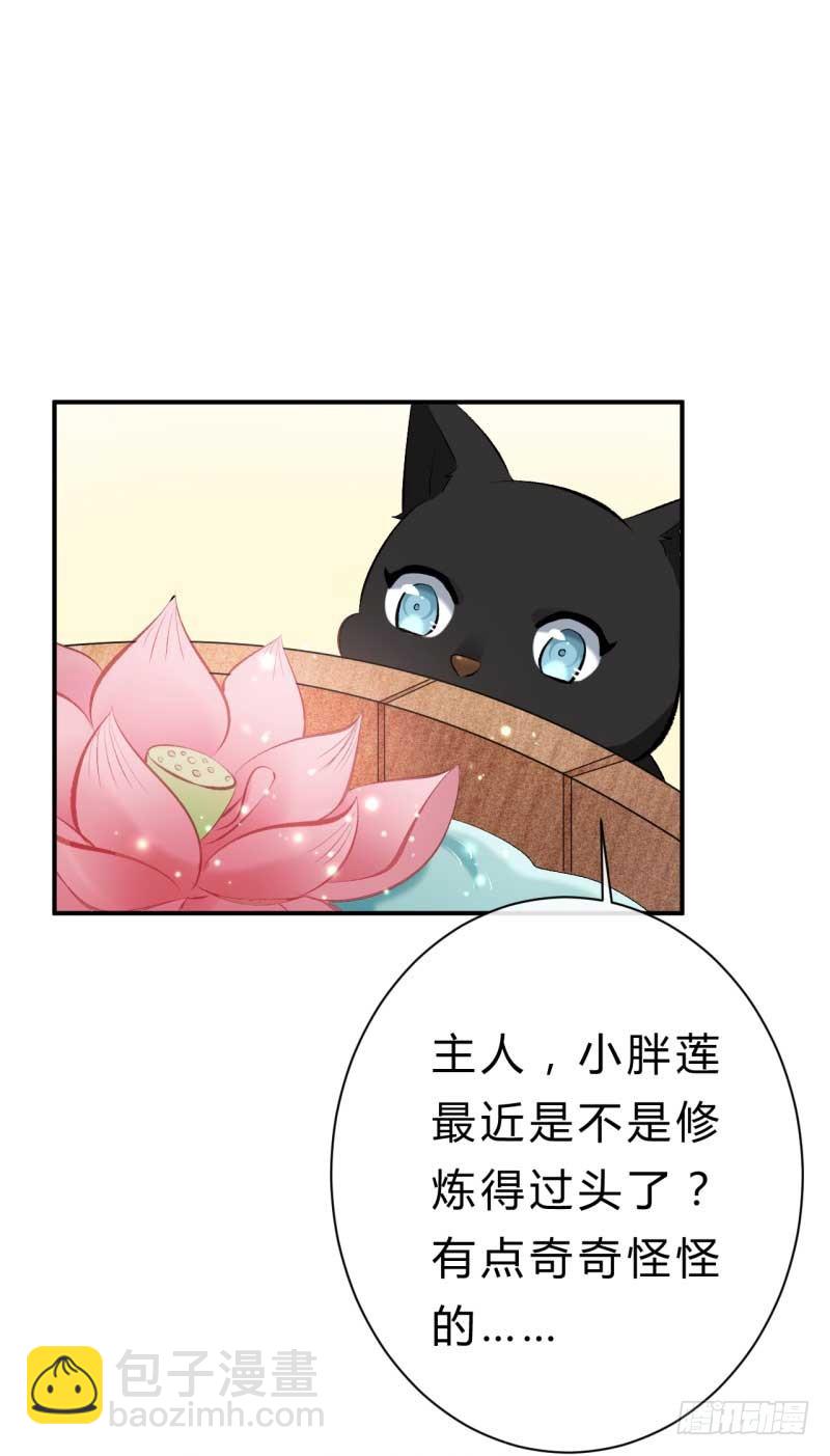 第30话 要大开杀戒了喵(1/2)-第31话