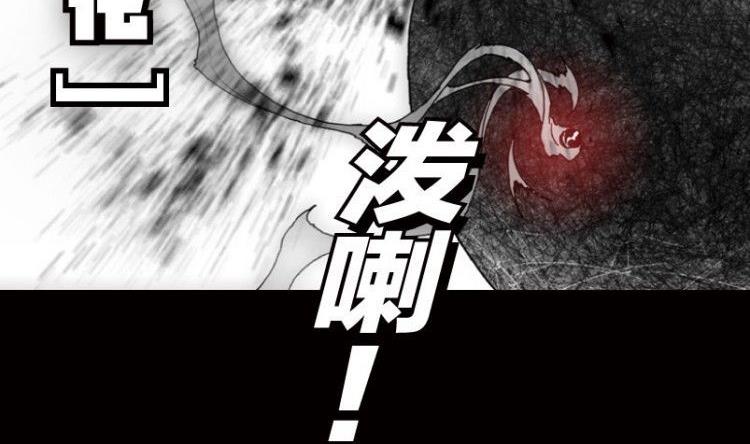 第05话(1/2)-第5话