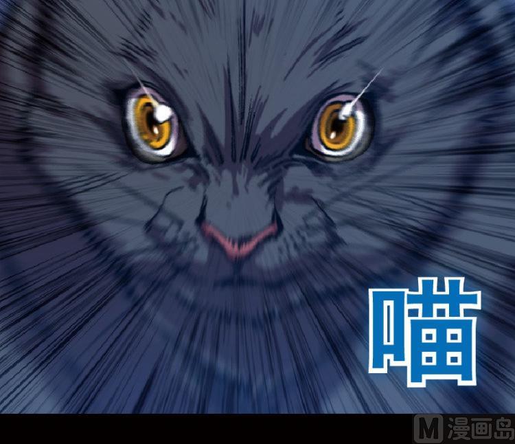 第44话(1/2)-第61话