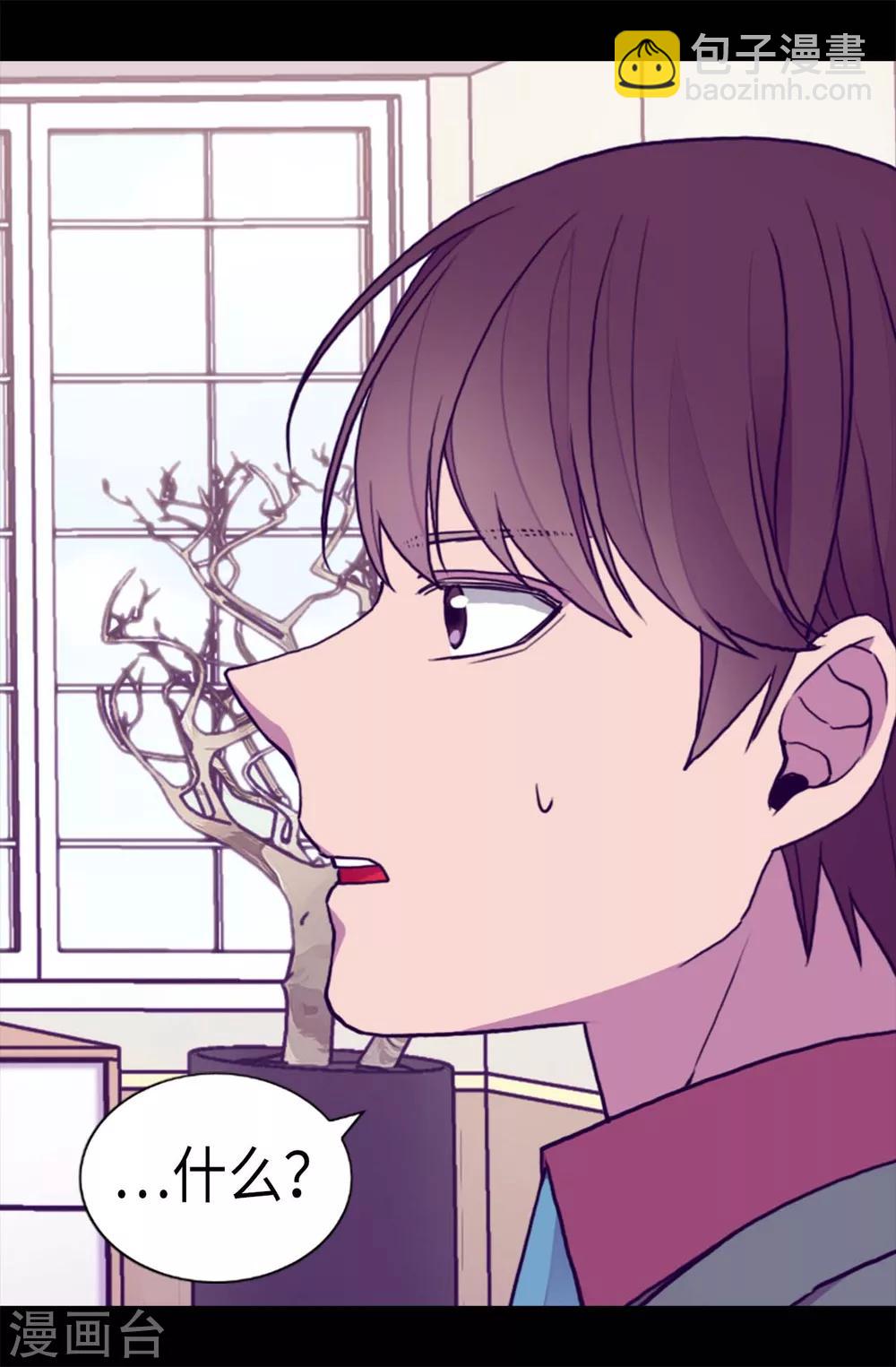🍴据说我是王的女儿 第207话 我…最爱的人 第3页