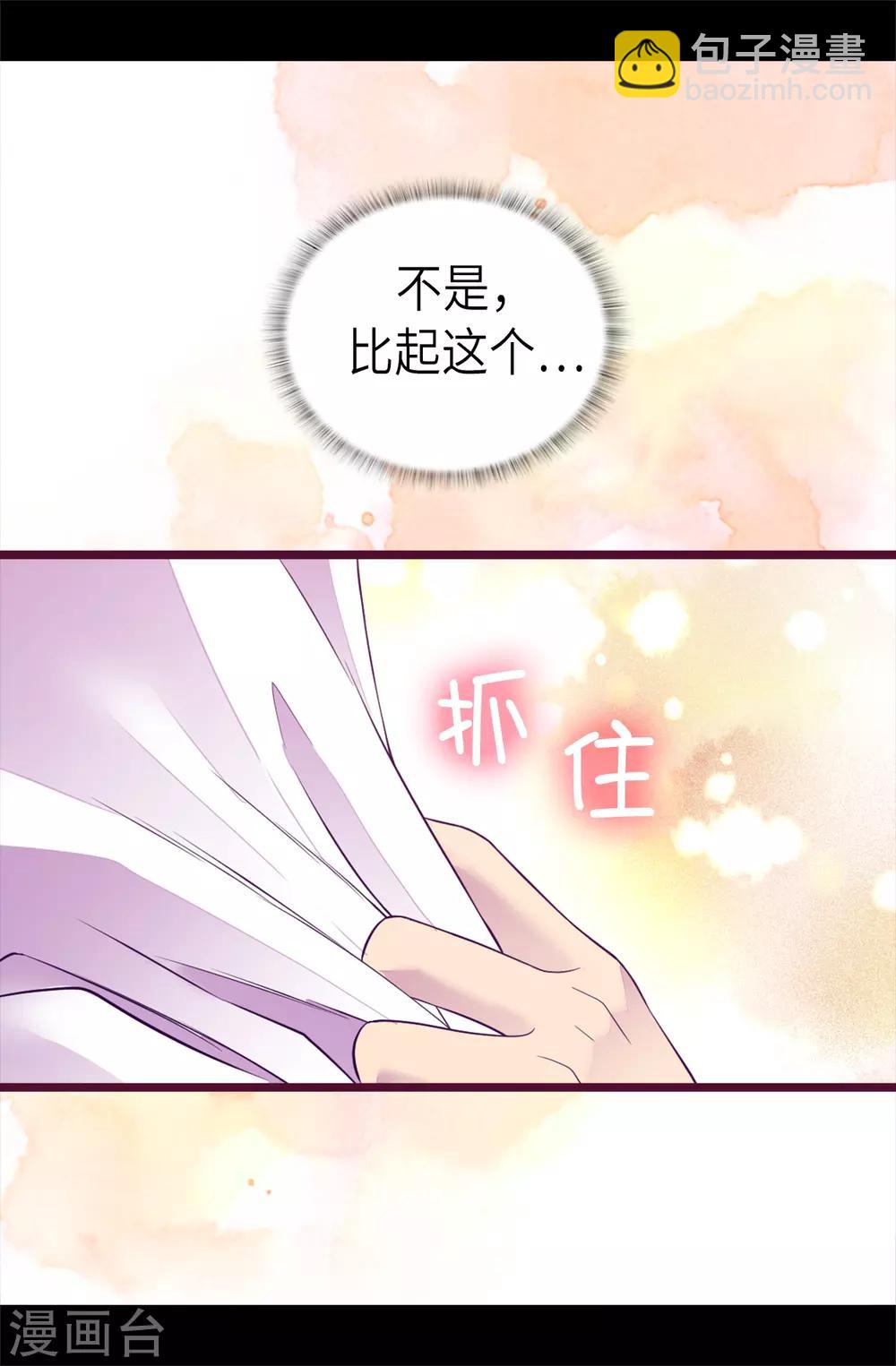 🍴据说我是王的女儿 第495话 你也是小偷吗 第19页