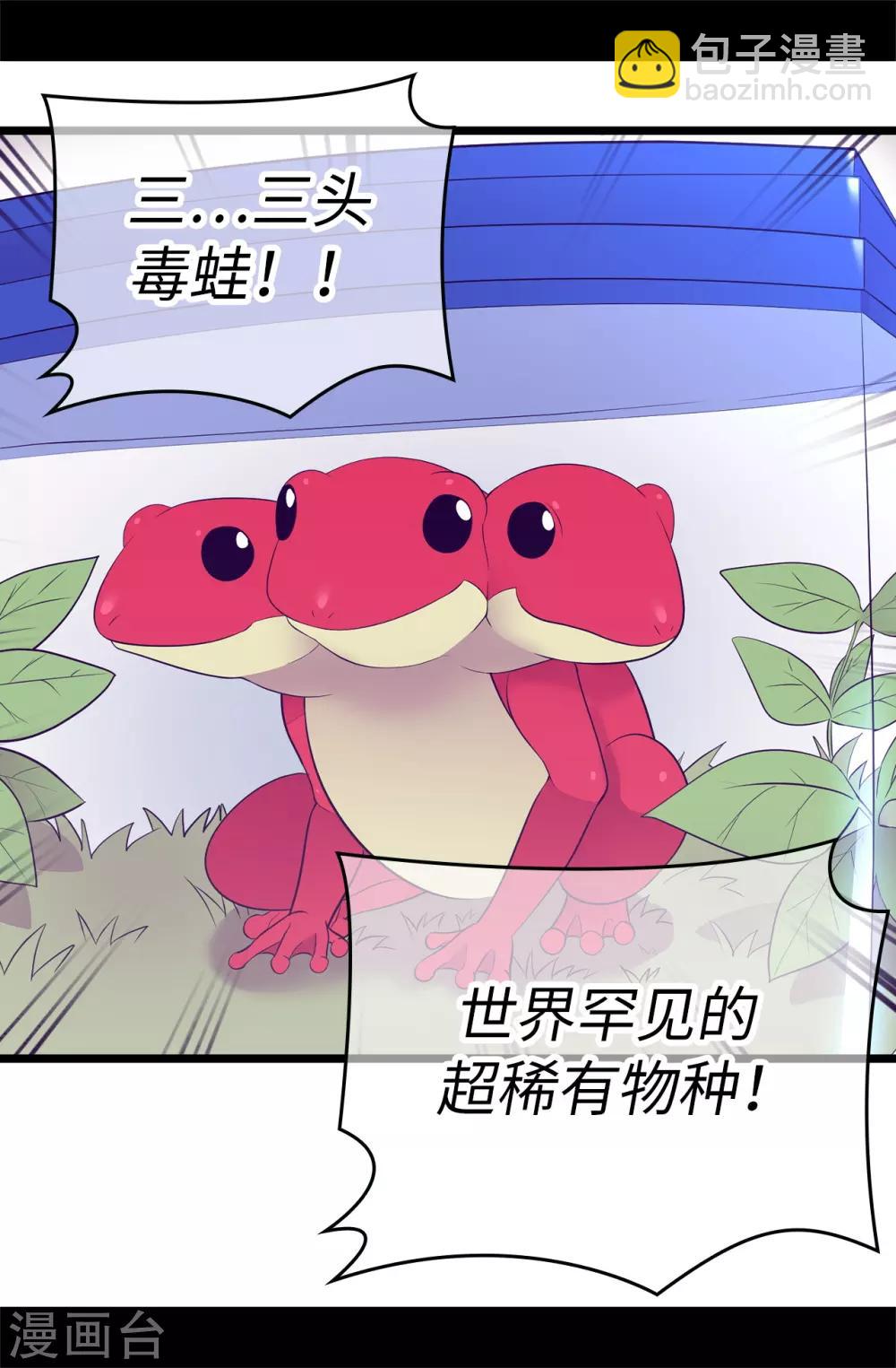 🍴据说我是王的女儿 第523话 逐个击破 第18页
