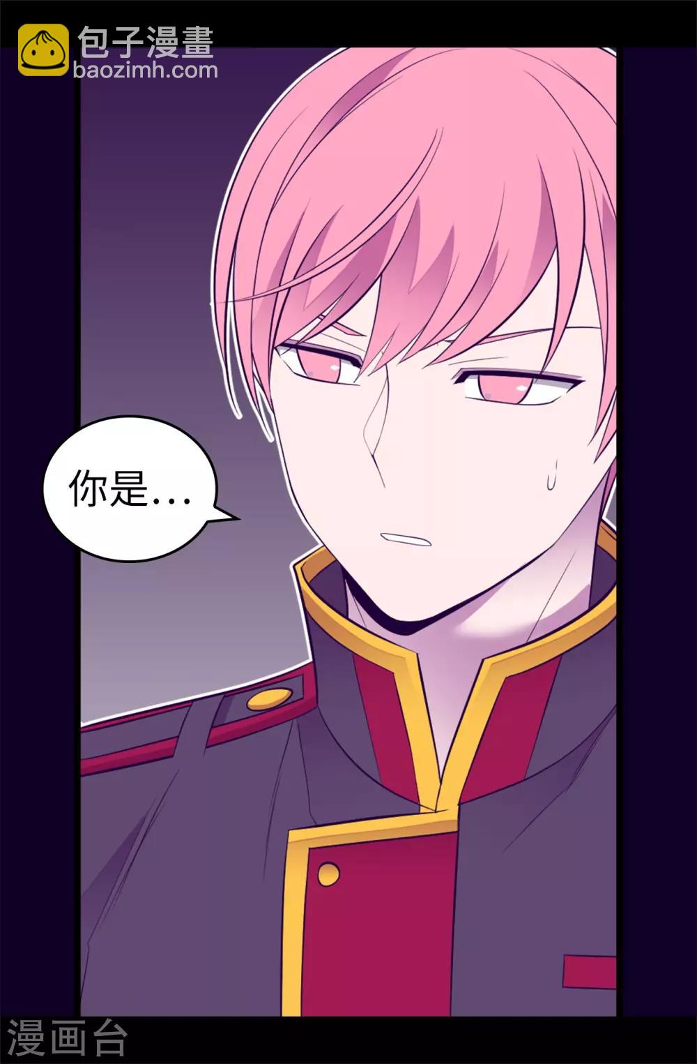 🍴据说我是王的女儿 第555话 可疑的骑士 第25页