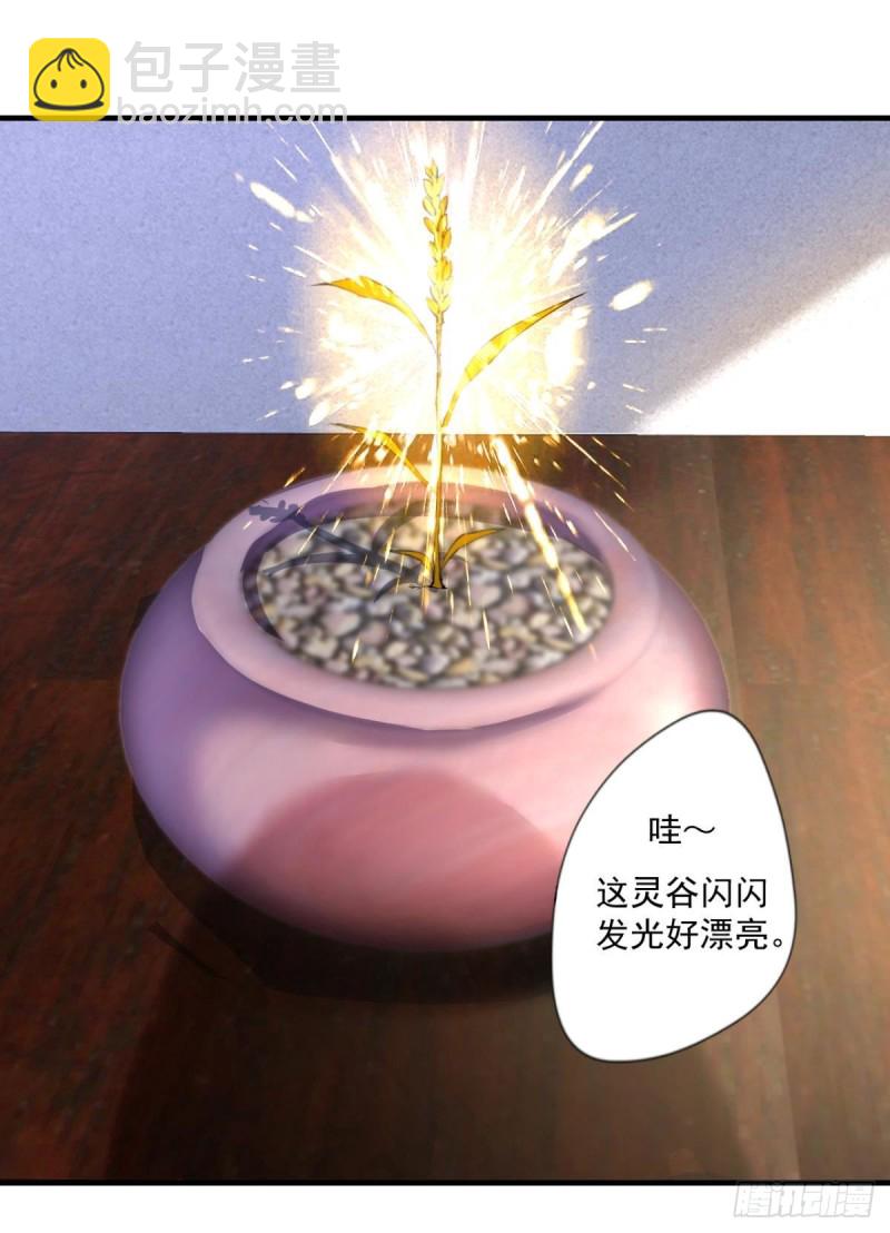 🍕开个诊所来修仙 第70话  灵谷 第13页