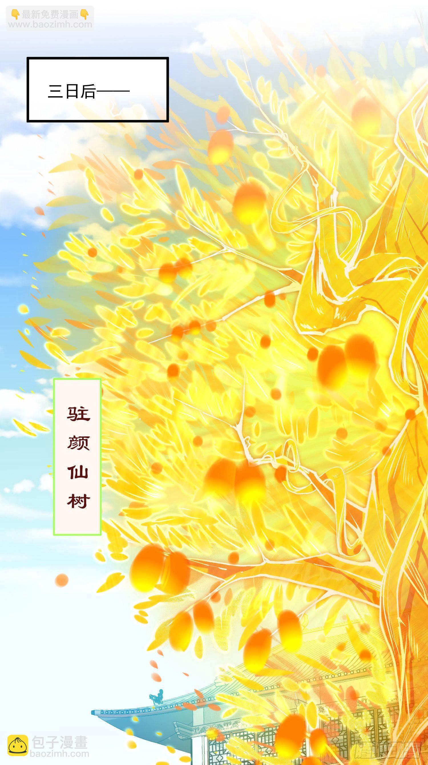 第22话 仙人境分身！(1/2)-第23话
