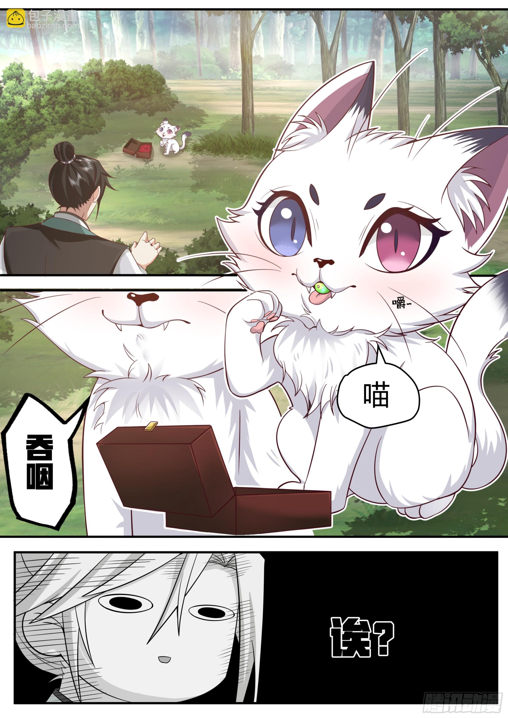 发现一只白猫？-第7话