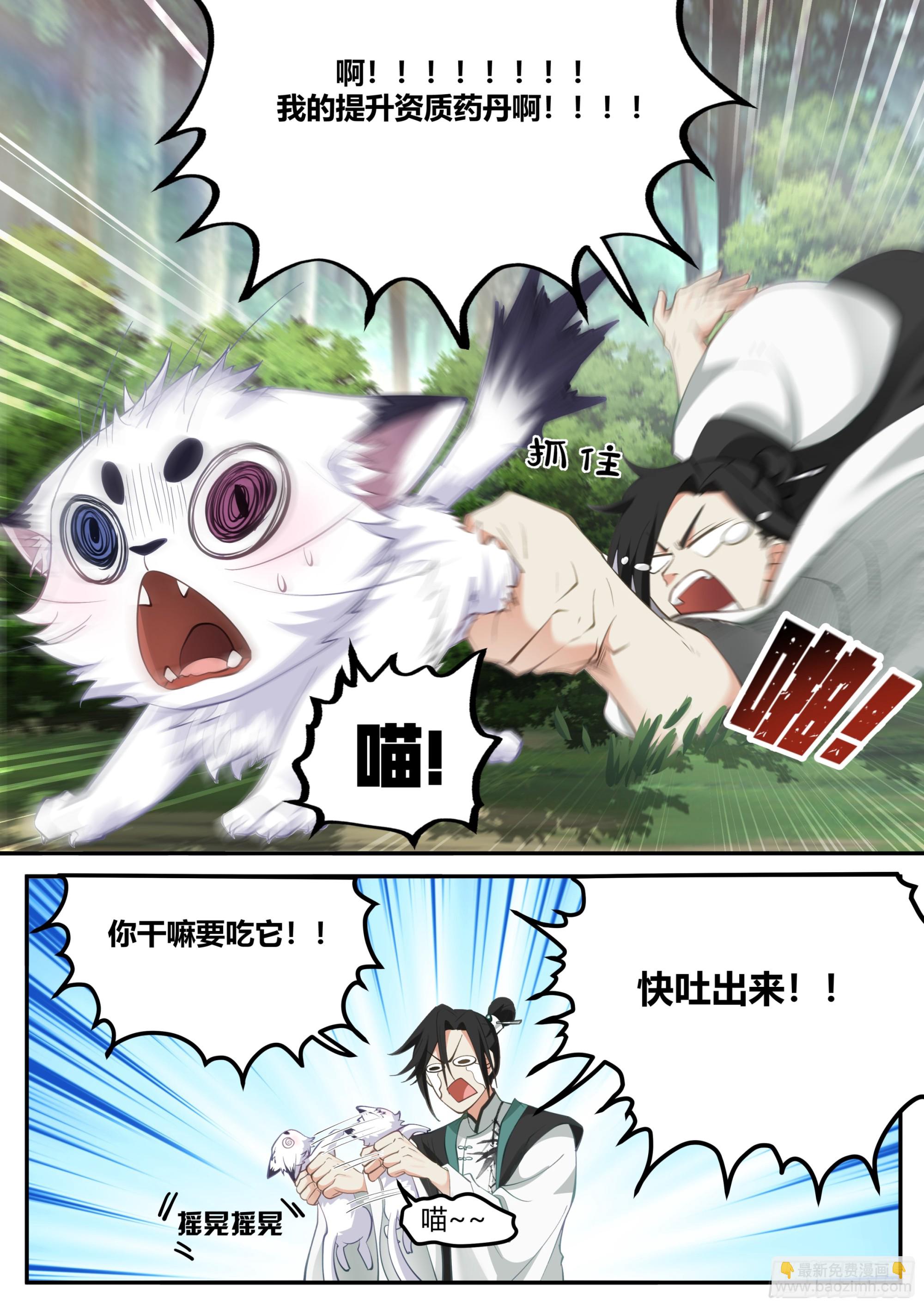发现一只白猫？-第7话