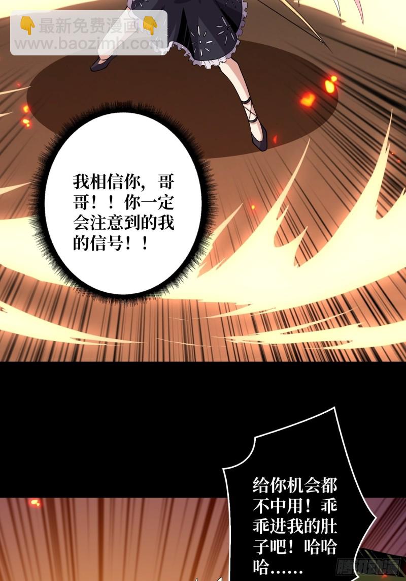 🍕开局就有王者账号 信号 第29页